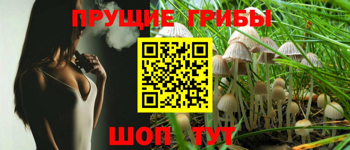 Псилоцибиновые грибы Cubensis  Вход с VPN  Псилоцибиновые грибы ЛСД  Нефтекамск 