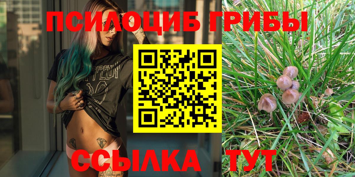 Псилоцибиновые грибы MAGIC MUSHROOMS Нефтекамск